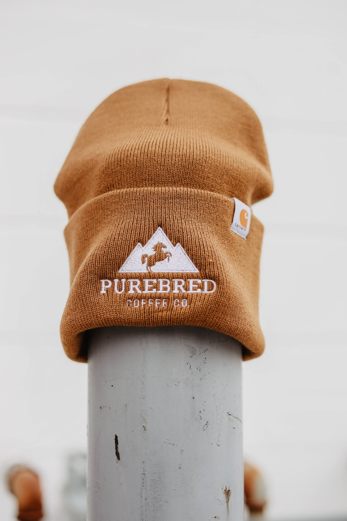 Carhartt Knit Logo Beanie